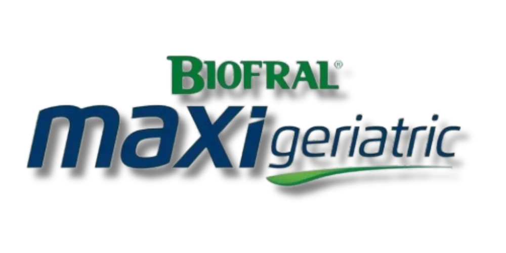 Maxi Geriatric